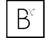 BX Logo FINAL